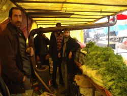 Çareyi çadır kurmakta buldular